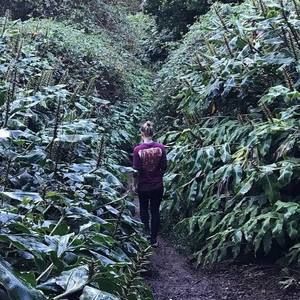 Meet your Posher, Harper